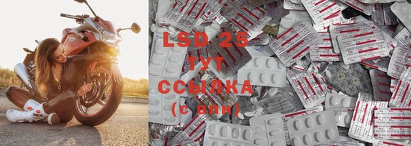 дурь Гусиноозёрск