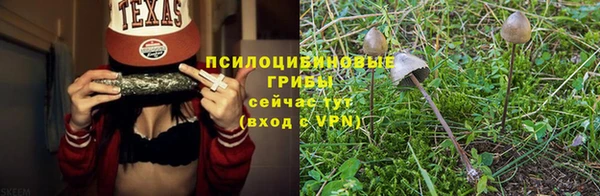 дурь Гусиноозёрск