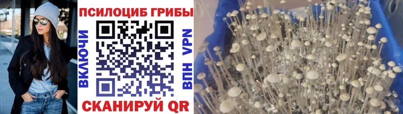 Галлюциногенные грибы мухоморы  как найти наркотики  Донской 