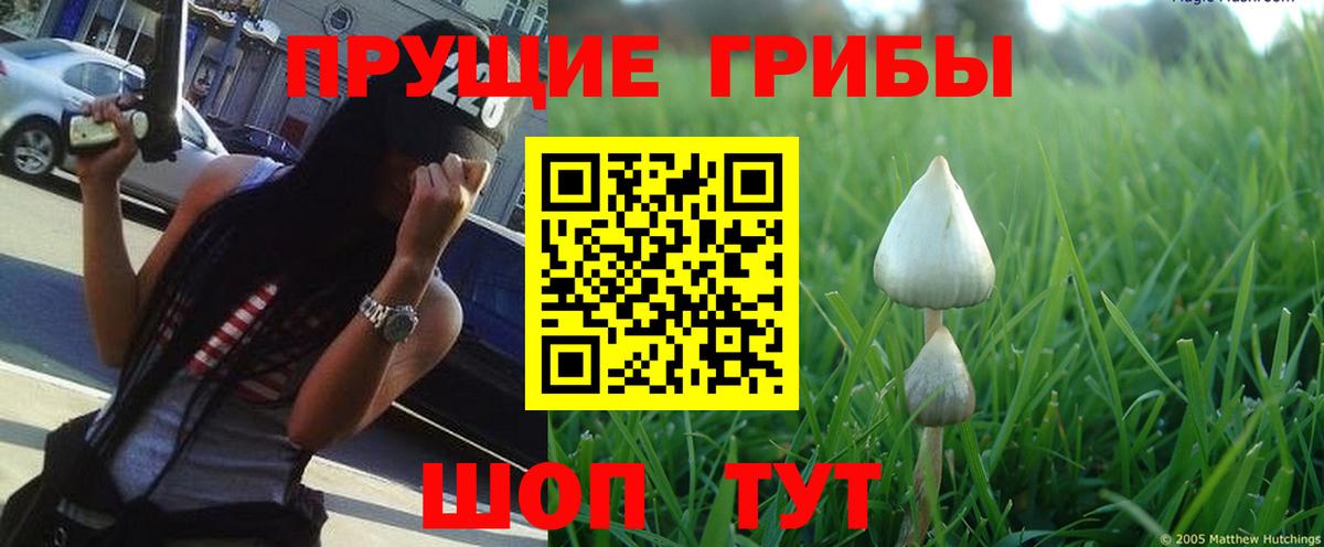 Галлюциногенные грибы Magic Shrooms  что такое наркотик  Вход с VPN  Донской  Псилоцибиновые грибы Magic Shrooms 